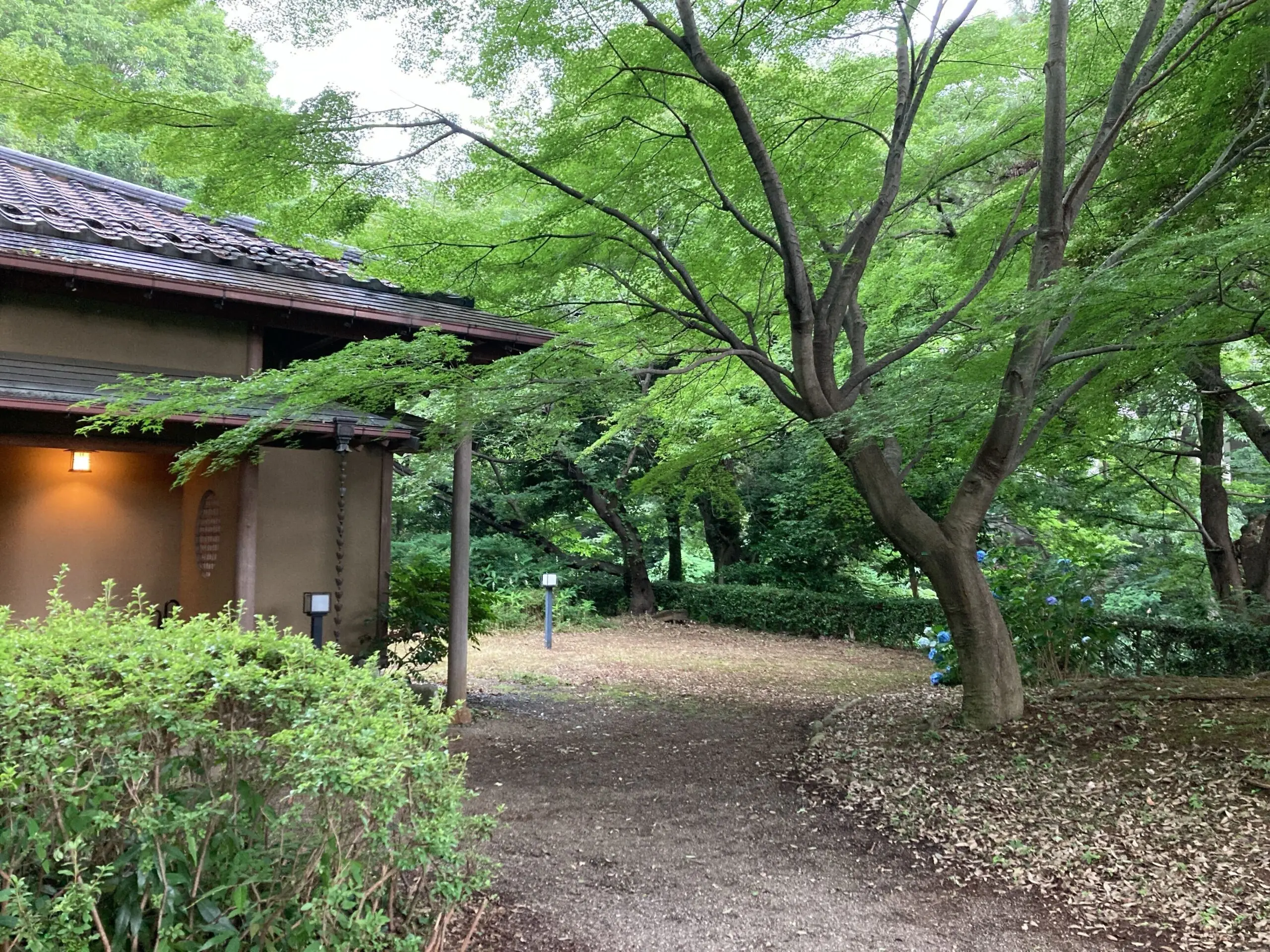 東京大学茶道部