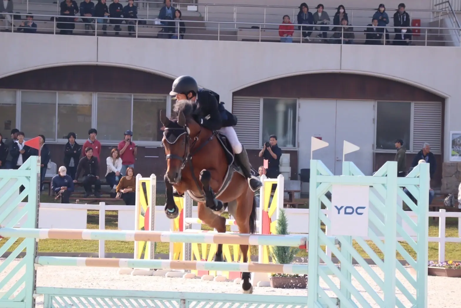 東京大学運動会馬術部