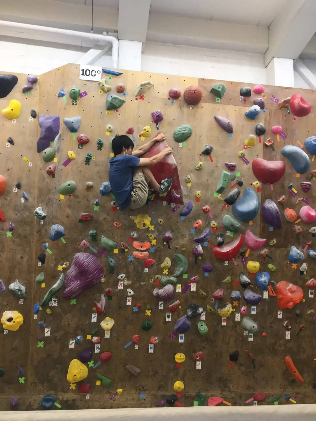 東京大学クライミングサークルGranite