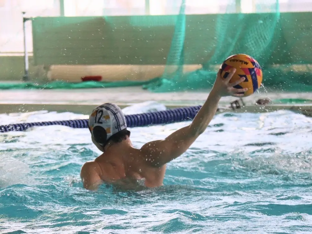 東京大学運動会水泳部水球陣