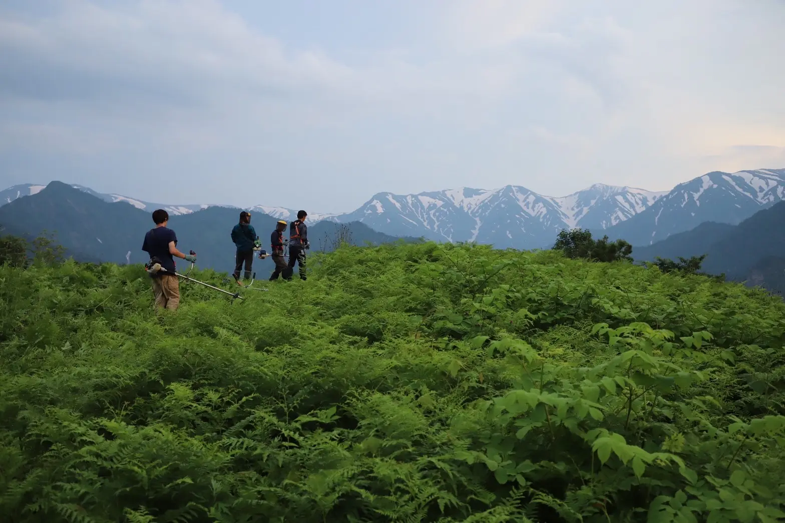 里山再生サークル「匠」